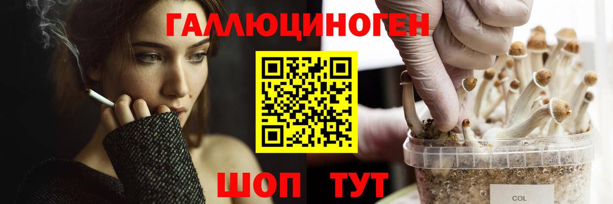 где можно купить наркотик  Псилоцибиновые грибы мицелий  Вход с VPN  Мелеуз 
